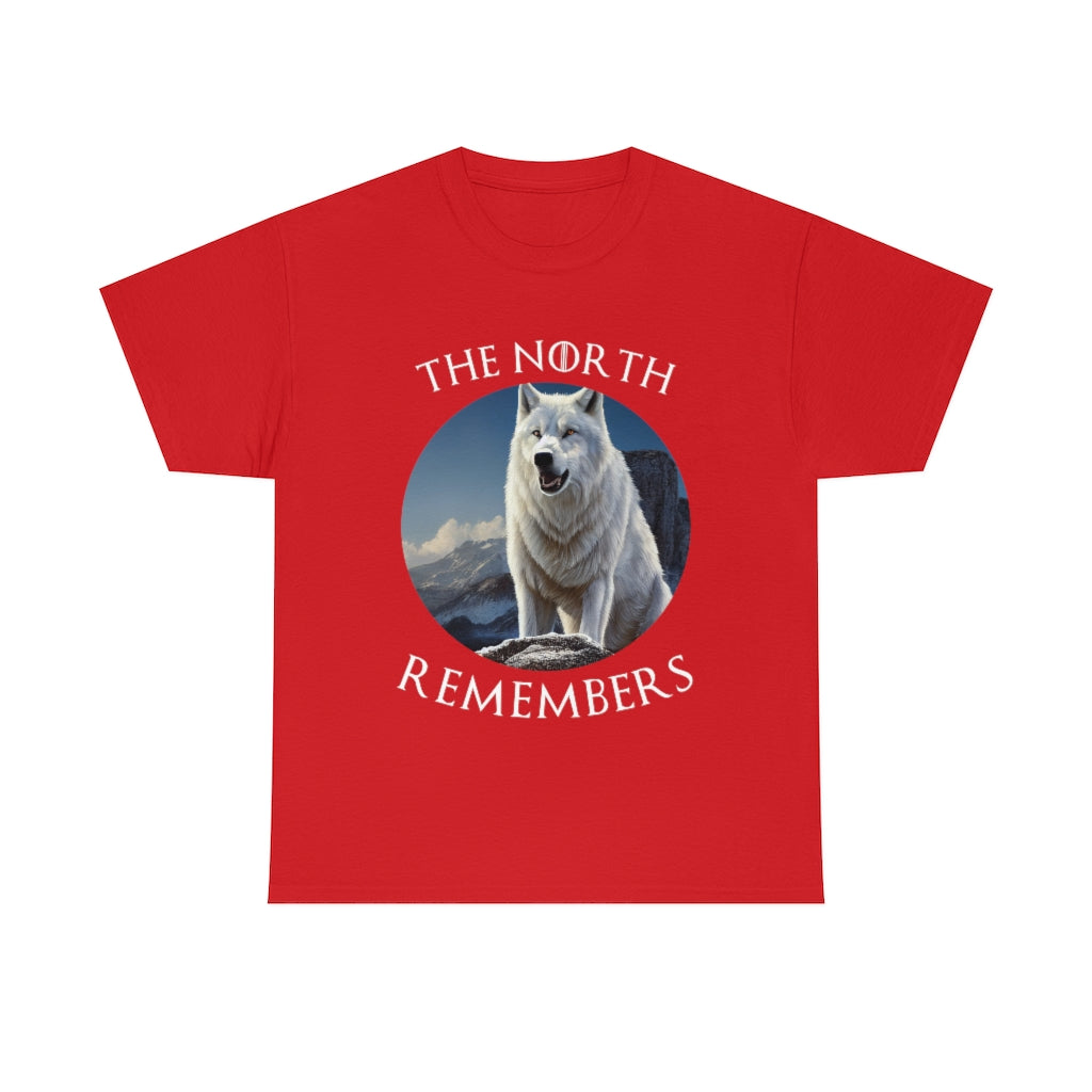 The North Remembers. Original Artwork. Unisex Heavy Cotton Tee.